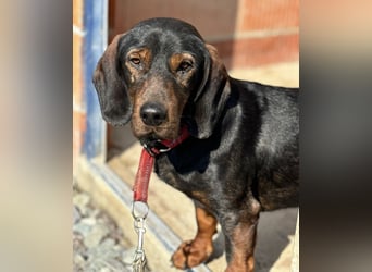 Andrija ein gebrochener Engel