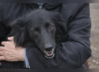 Rosi - voller Sehnsucht