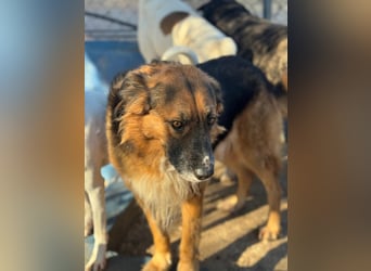 Rio, freundlich, sozial und gelassen