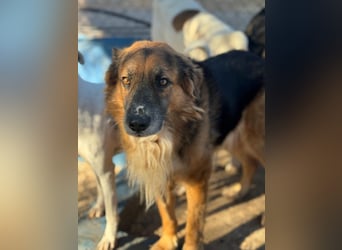 Rio, freundlich, sozial und gelassen