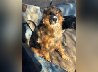 Rio, freundlich, sozial und gelassen