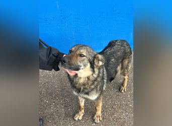 Yuma, freundlich und sozialverträglich