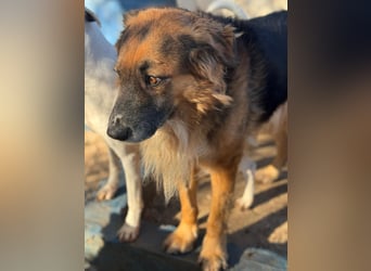 Rio, freundlich, sozial und gelassen