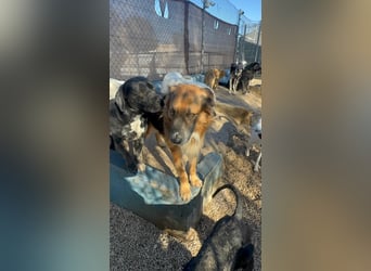 Rio, freundlich, sozial und gelassen