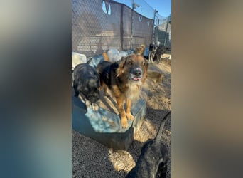 Rio, freundlich, sozial und gelassen