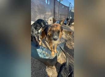 Rio, freundlich, sozial und gelassen