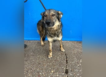 Yuma, freundlich und sozialverträglich