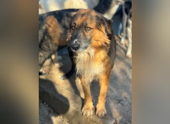 Rio, freundlich, sozial und gelassen