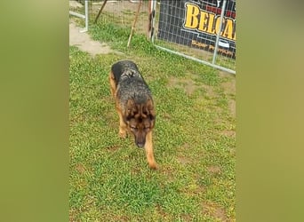 Marvel sucht ihren Menschen