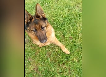 Marvel sucht ihren Menschen