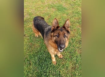 Marvel sucht ihren Menschen