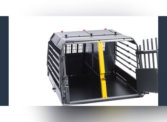 Altdeutsche Schäferhündin „Mia“ & Eurasier „Koda“ nur gemeinsam