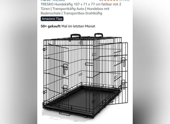 Altdeutsche Schäferhündin „Mia“ & Eurasier „Koda“ nur gemeinsam