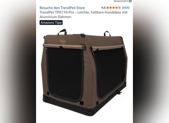 Altdeutsche Schäferhündin „Mia“ & Eurasier „Koda“ nur gemeinsam