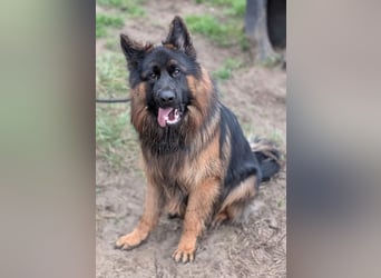 Herr Schröder sucht ein Zuhause