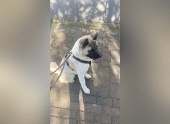 Jord - souverän und selbstsicher