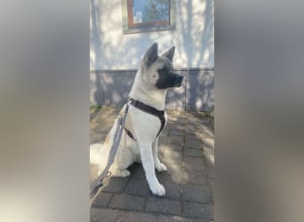 Jord - souverän und selbstsicher