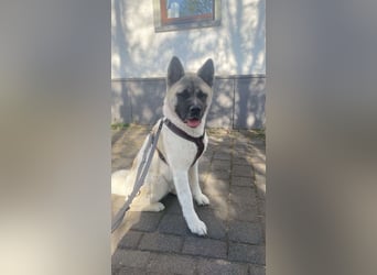 Jord - souverän und selbstsicher