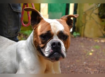 Nereida - Ein harter Platz für ein weiches Herz