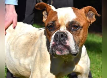 Nereida - Ein harter Platz für ein weiches Herz