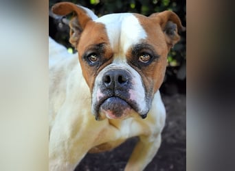 Nereida - Ein harter Platz für ein weiches Herz