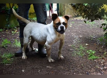 Nereida - Ein harter Platz für ein weiches Herz