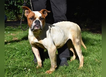 Nereida - Ein harter Platz für ein weiches Herz