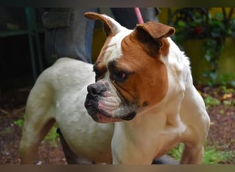 Nereida - Ein harter Platz für ein weiches Herz