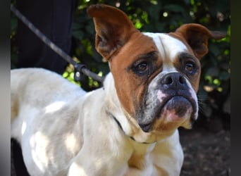 Nereida - Ein harter Platz für ein weiches Herz