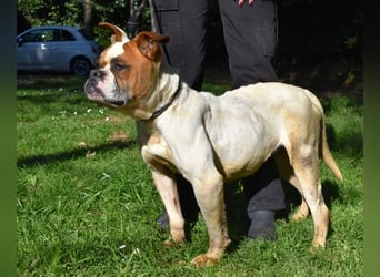 Nereida - Ein harter Platz für ein weiches Herz