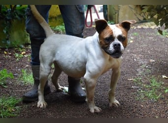 Nereida - Ein harter Platz für ein weiches Herz