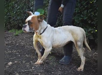 Nereida - Ein harter Platz für ein weiches Herz