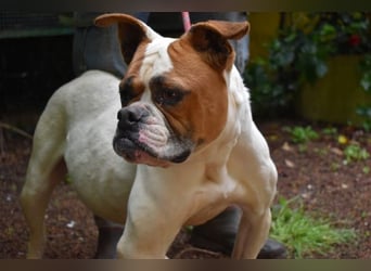 Nereida - Ein harter Platz für ein weiches Herz