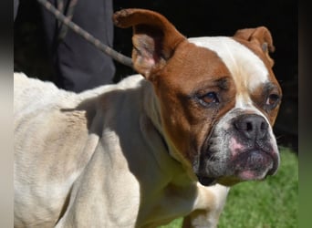 Nereida - Ein harter Platz für ein weiches Herz