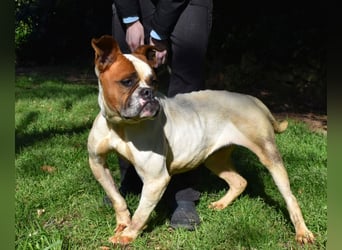 Nereida - Ein harter Platz für ein weiches Herz