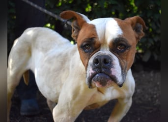 Nereida - Ein harter Platz für ein weiches Herz