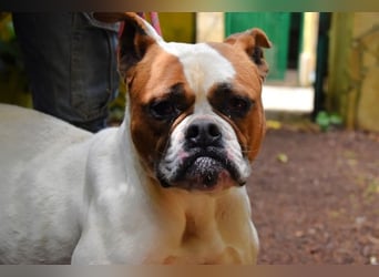 Nereida - Ein harter Platz für ein weiches Herz