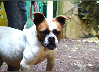 Nereida - Ein harter Platz für ein weiches Herz