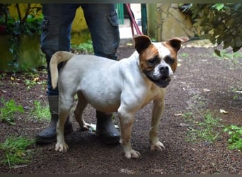 Nereida - Ein harter Platz für ein weiches Herz