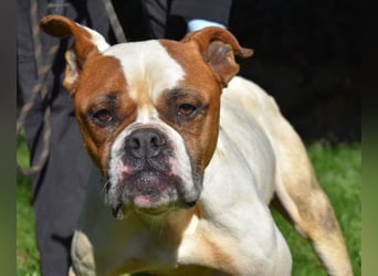 Nereida - Ein harter Platz für ein weiches Herz