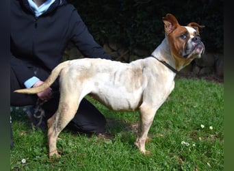 Nereida - Ein harter Platz für ein weiches Herz