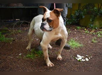 Nereida - Ein harter Platz für ein weiches Herz