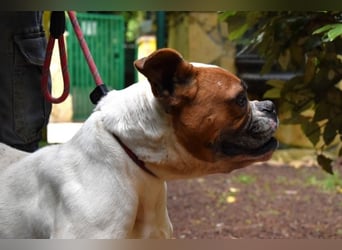 Nereida - Ein harter Platz für ein weiches Herz