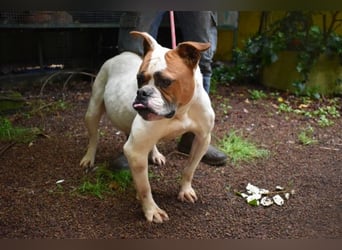 Nereida - Ein harter Platz für ein weiches Herz