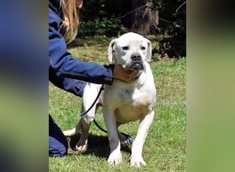 Dollaro - In einer anderen Zeit