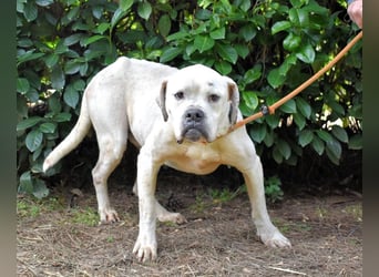 Dollaro - In einer anderen Zeit