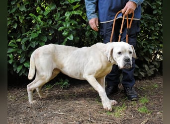 Dollaro - In einer anderen Zeit
