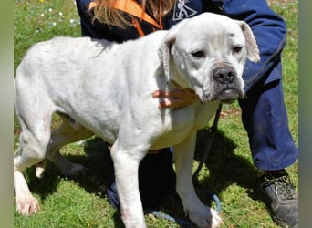 Dollaro - In einer anderen Zeit