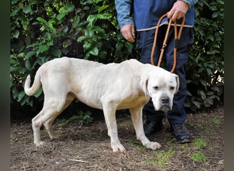 Dollaro - In einer anderen Zeit