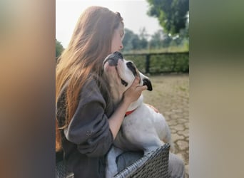 Branca - Knutschkugel sucht kompetente Pflegestelle